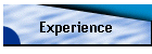 Experience