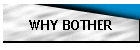 WHY BOTHER